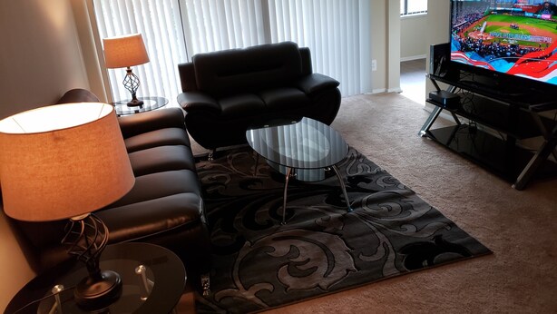 Standard Apartment | Living room - Vacation home (Silver Spring)