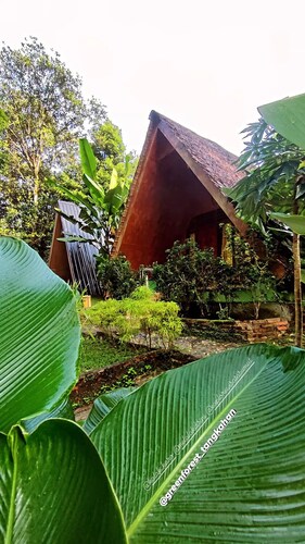 Green Forest Tangkahan