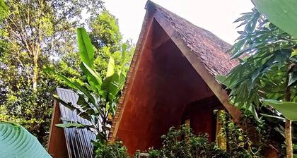 Green Forest Tangkahan