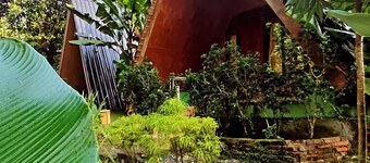 Green Forest Tangkahan