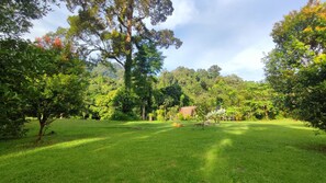 Superior Twin Room | Hypo-allergenic bedding, bed sheets - Green Forest Tangkahan (Batang Serangan)