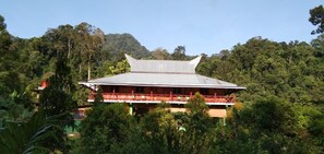 Mountain view - Green Forest Tangkahan (Batang Serangan)