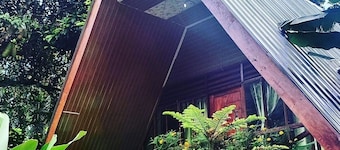 Green Forest Tangkahan