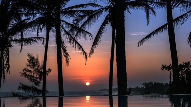Atardecer sobre aguas tranquilas, con palmeras silueteadas contra el cielo.