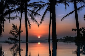 A sunset over a calm body of water with palm trees silhouetted against the sky.