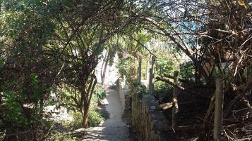 Entrada de la propiedad