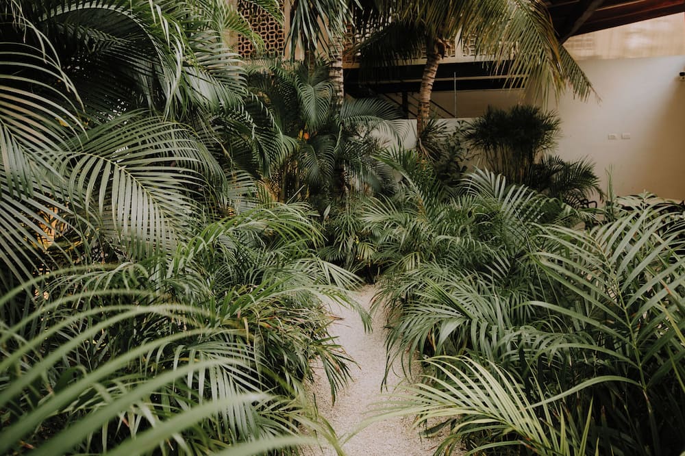 The Strabon Tulum