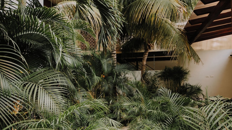 The Strabon Tulum