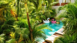 A pool surrounded by lush tropical foliage, with two swan-shaped inflatable floats. - The Strabon Tulum (Tulum)