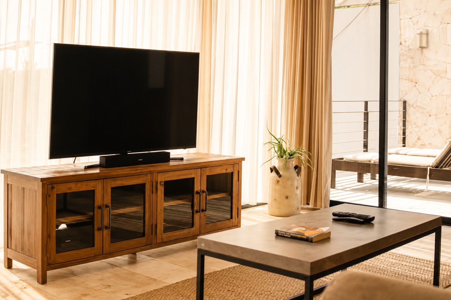 Television