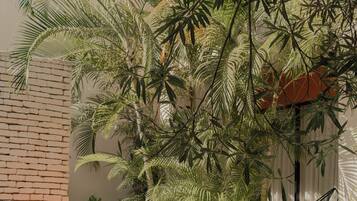 Utendørsbasseng og solsenger