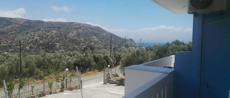 A balcony with a view of a mountainous landscape, a paved area with potted plants, and a blue railing.