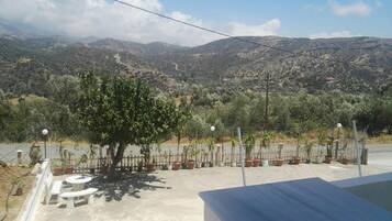 Una terrazza con vista sulle montagne, piante in vaso e mobili da esterno.