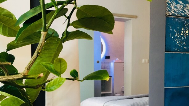 A room with a bed, a plant with green leaves, and a blue wall. - Piper Zajezdnia Blue (Poznan)