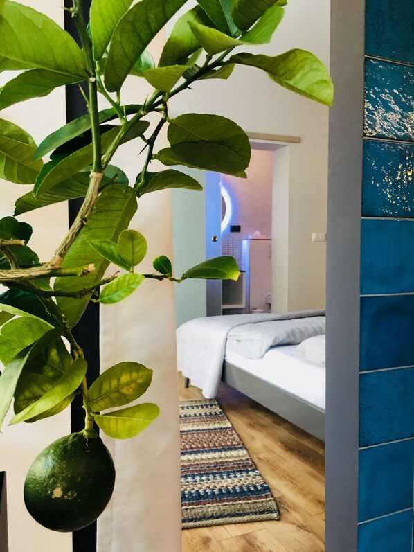 Deluxe Στούντιο | Περιοχή καθιστικού | Τηλεόραση LCD 55 ιντσών με premium κανάλια, τηλεοράσεις, Netflix