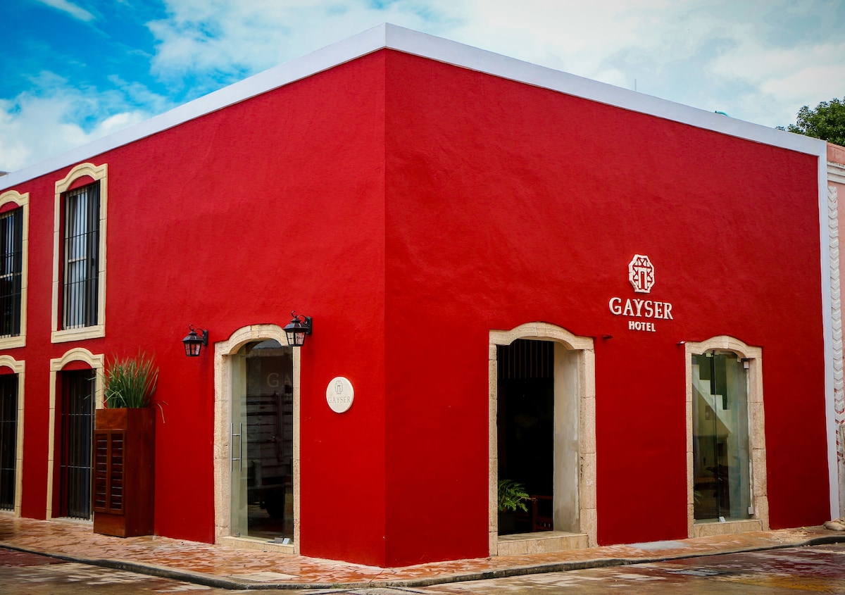 Hotel Gayserred wall exterior