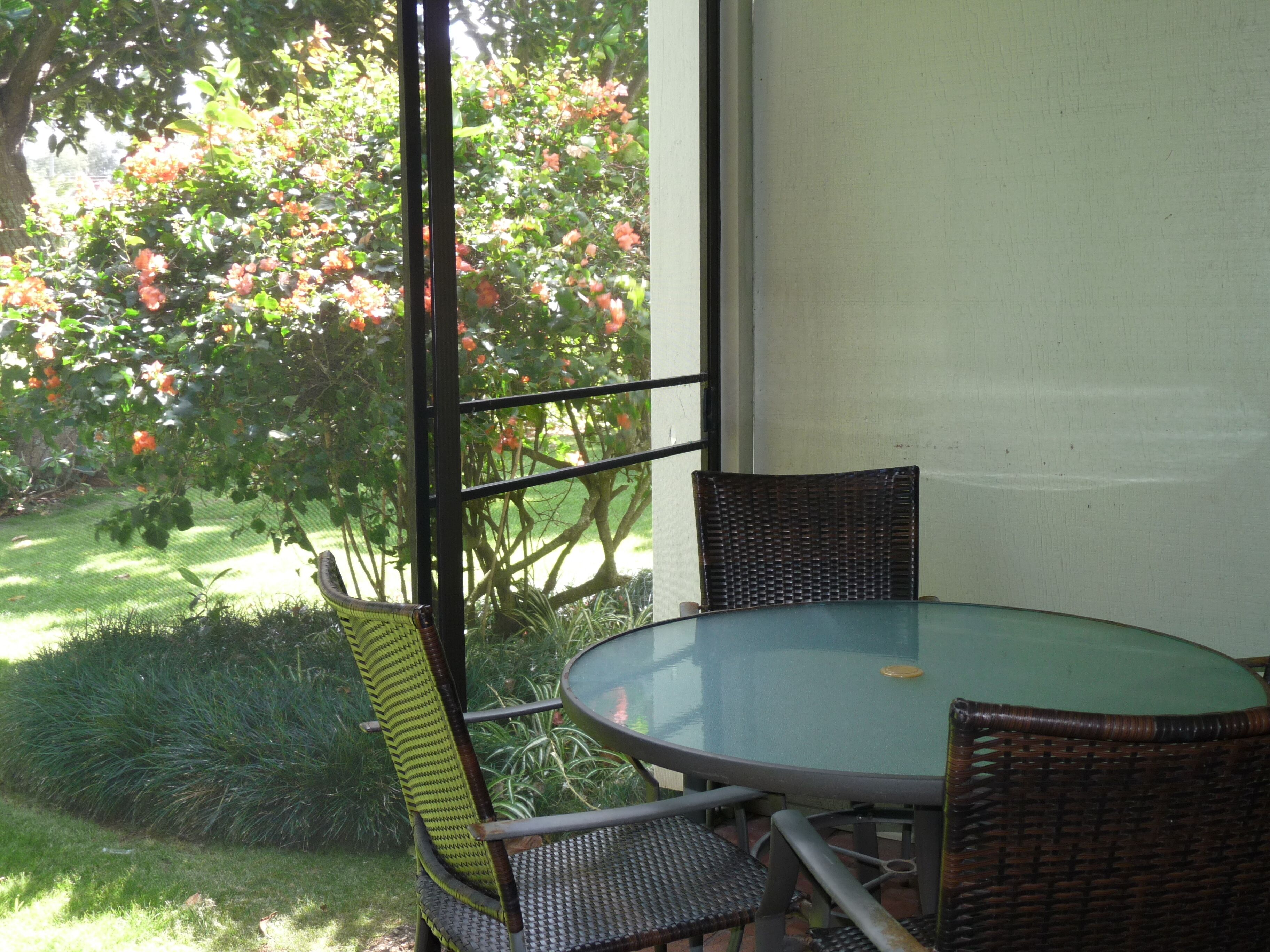 Ein Glastisch mit Korbstühlen, Blick auf einen Garten mit Bäumen und Sträuchern sowie ein Fenster mit Metallrahmen.