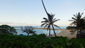 Una playa con palmeras, una orilla arenosa y vista al océano.