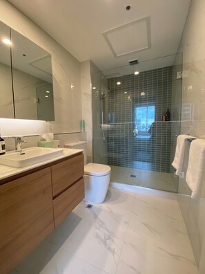 Shower, hair dryer, towels, soap