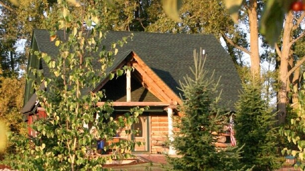 Eine Hütte mit schrägem Dach, umgeben von dichtem Wald und immergrünen Bäumen.