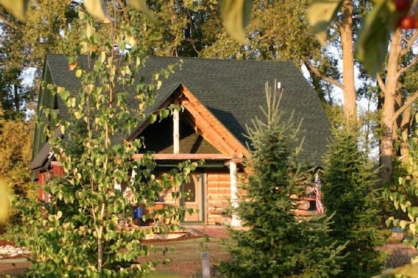 A view of the Riverdance cabin through the trees.