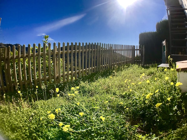 A wooden fence with a garden in front.