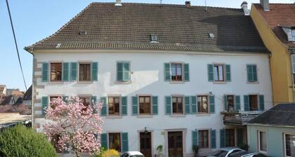 HISTORICAL CENTER, APARTMENT WITH GARDEN, PARKING outside Christmas market period