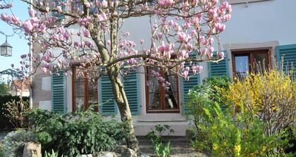 HISTORICAL CENTER, APARTMENT WITH GARDEN, PARKING outside Christmas market period