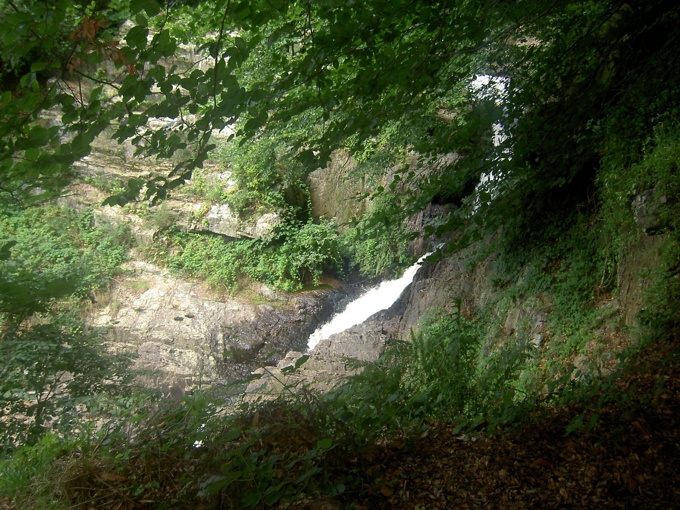 A waterfall cascading down a rocky cliff surrounded by dense foliage.