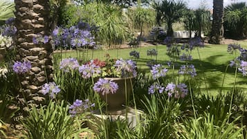 Jardines del alojamiento