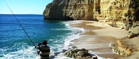 ビーチの近く、サンラウンジャー