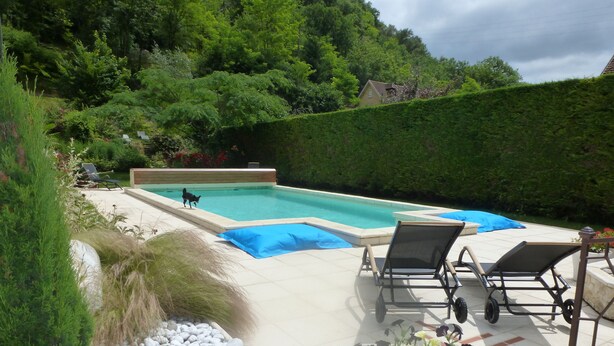 A backyard with a swimming pool, lounge chairs, and a dog. - Independent house with heated pool (Perigord Noir hamlet) (CARLUX)