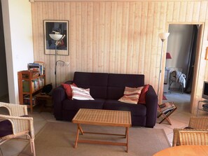 Téléviseur connecté, lecteur de DVD, table de ping-pong, livres