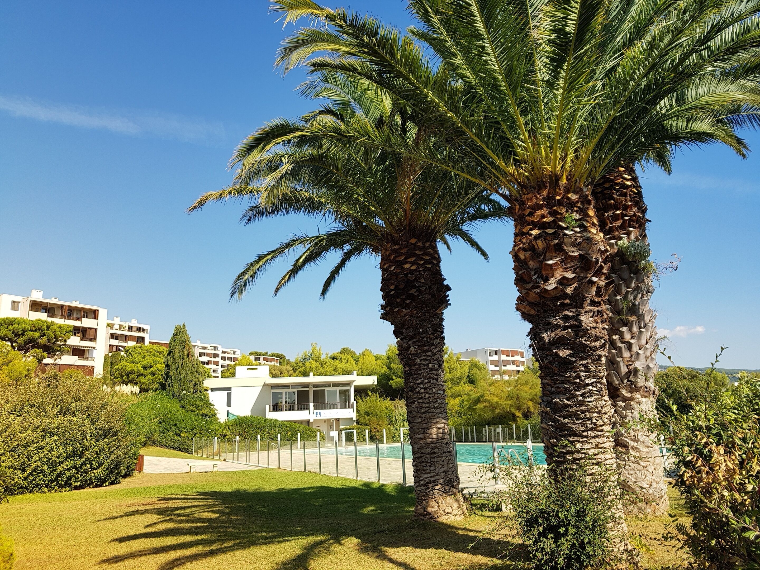 A residential area with modern buildings, a swimming pool, and palm trees.
