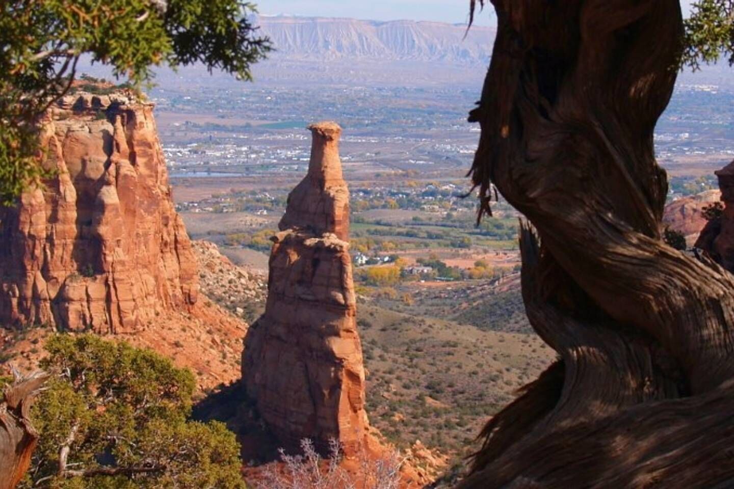 Eine zerklüftete Landschaft mit markanten Felsformationen und einem Baum im Vordergrund.