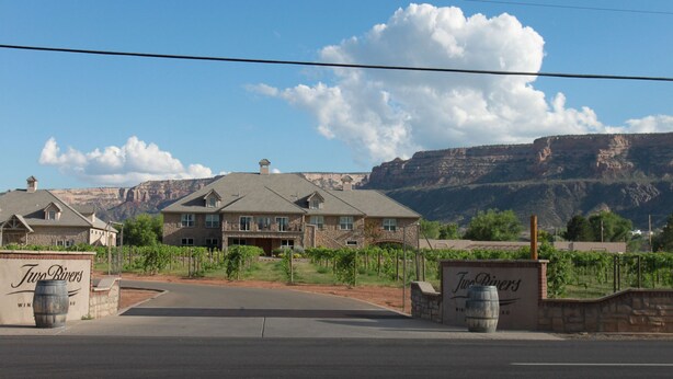 A residential area with houses, a vineyard, and a clear sky. - Golf - Winery - Hike - Bike (Grand Junction)
