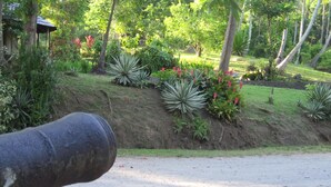 Een tuin met verschillende planten en een gebouw op de achtergrond.
