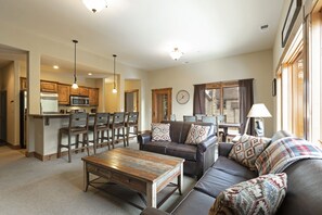 TV, fireplace, DVD player