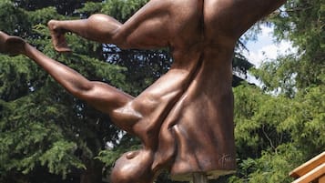 Área da propriedade