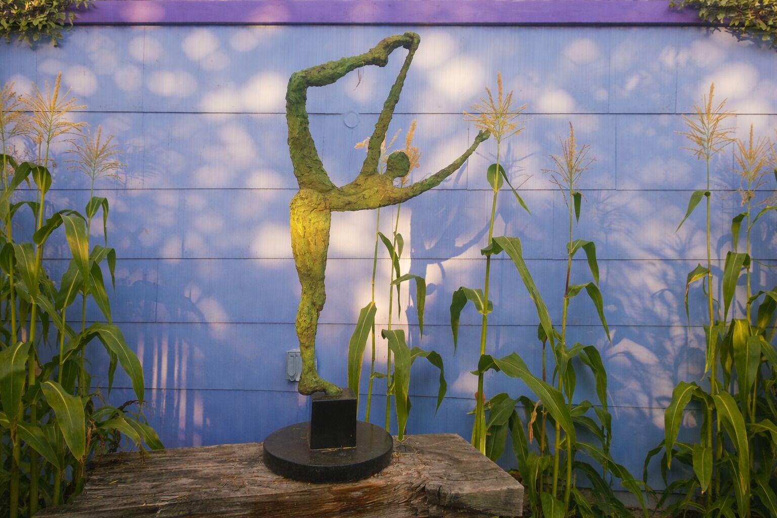 Eine Skulptur einer Person in einer dynamischen Pose auf einer Holzplattform, umgeben von Maispflanzen vor einer blauen Wand.