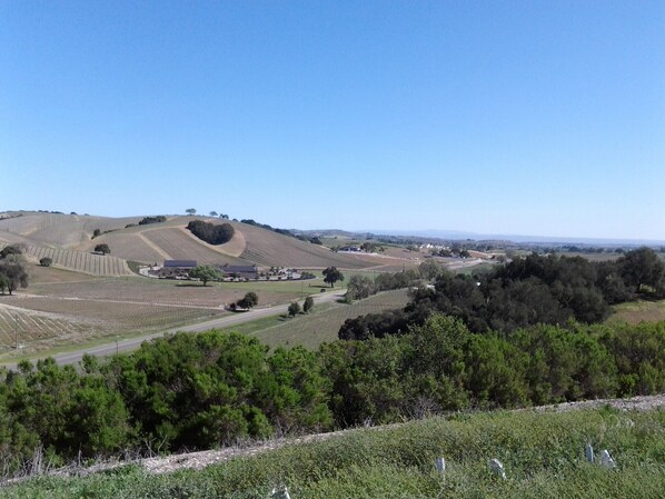 Un paysage rural caractérisé par des collines douces, une route et quelques bâtiments dispersés.