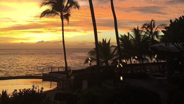 Vista al atardecer con palmeras y una zona de piscina.