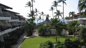 Un patio de hotel con piscina, palmeras y un pequeño puente.