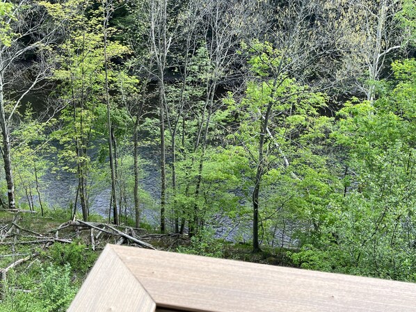 A wooden deck with a view of a forested area and a body of water.