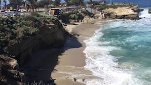 Ein Küstenstrand mit felsigen Klippen, Palmen und freiem Blick auf den Ozean.