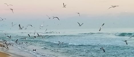 Vlak bij het strand