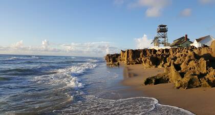 Manatee Pocket Guest Cottage