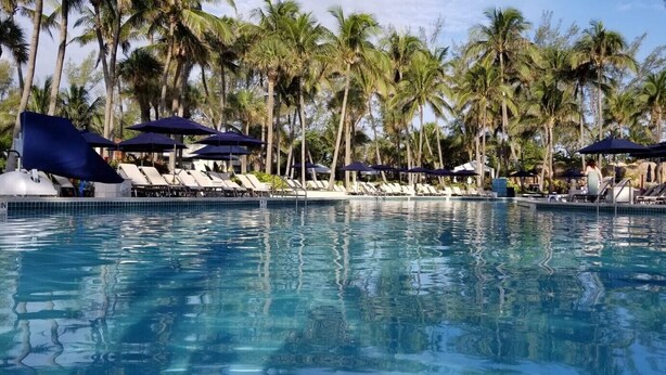 A swimming pool with lounge chairs and umbrellas, surrounded by palm trees. - 4,000+ sq ft beachfront residence + PRIVATE BEACH Resort & Spa by Marriott (Fort Lauderdale)