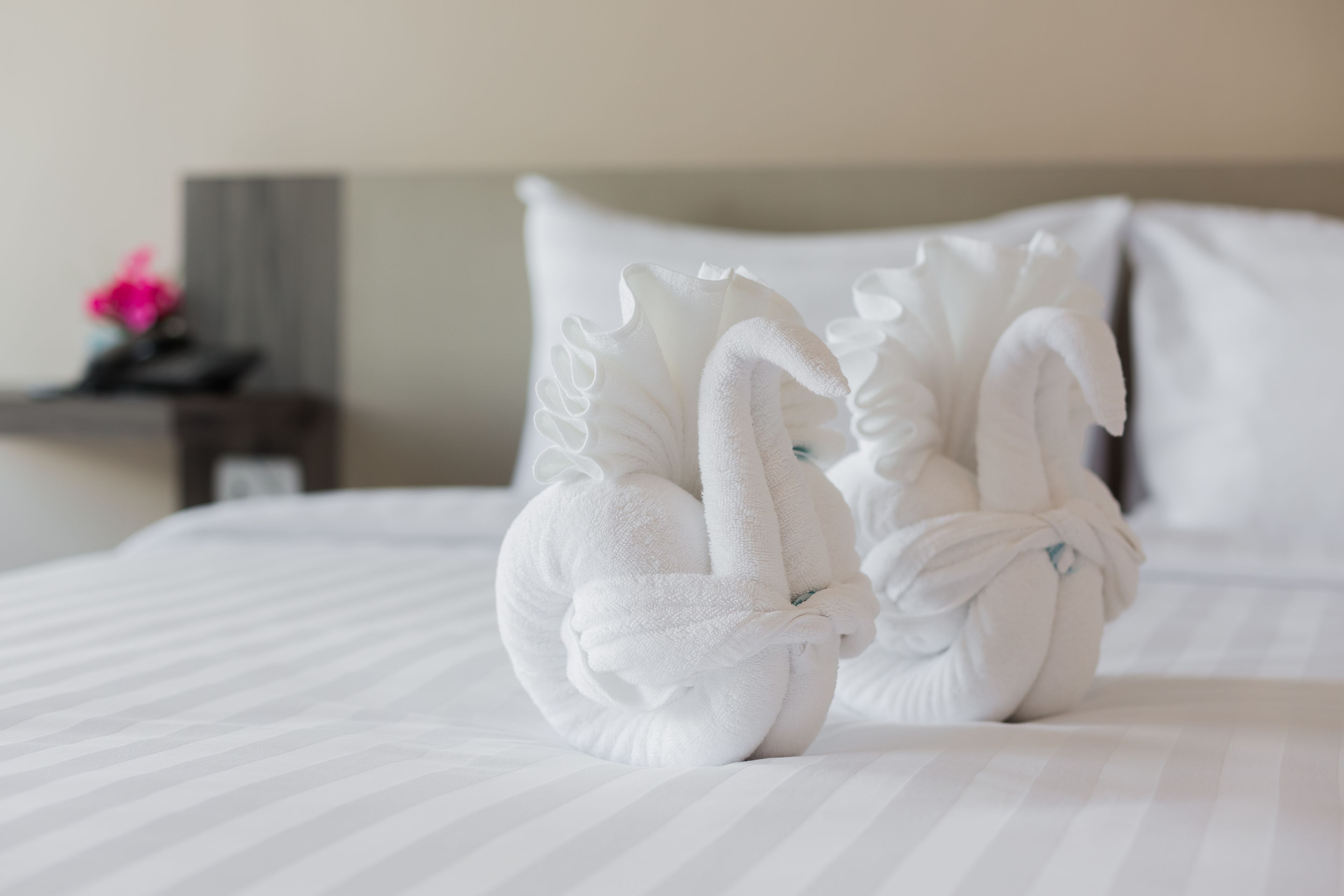 A bed with two white swan-shaped towels.