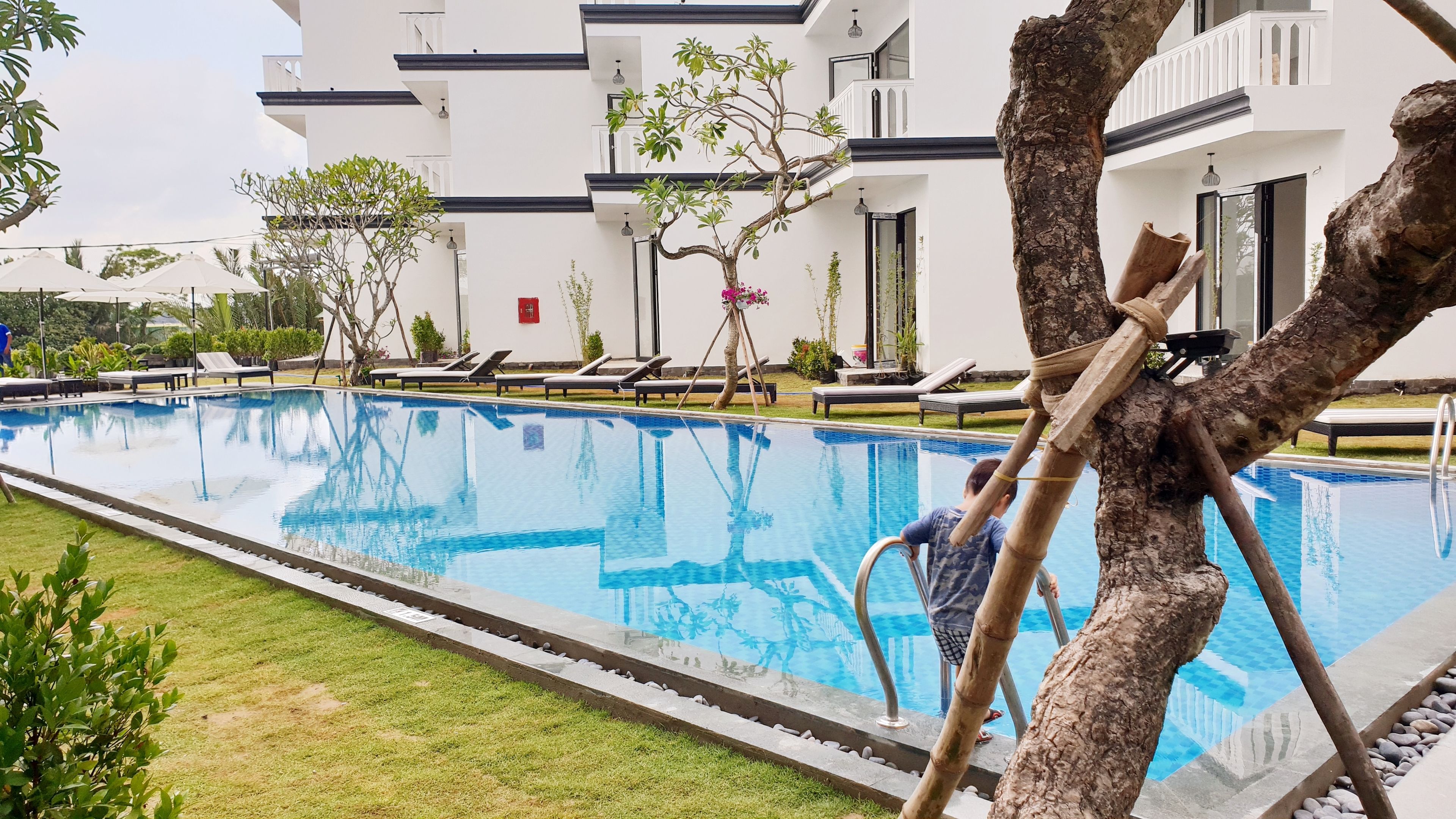 A swimming pool with lounge chairs and a tree trunk sculpture.